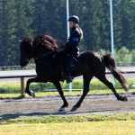 11953033_1041048332572137_8882722501277390559_n