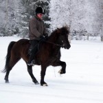 17918264_10154381398225969_156441004_n