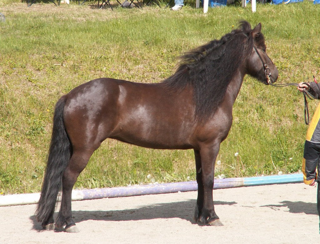 KONICA MINOLTA DIGITAL CAMERA