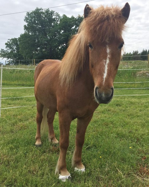 34583189_10216643950788774_7855358432625295360_n