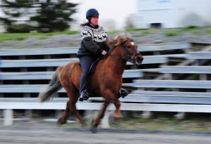 223854_274494635991236_540990892_n