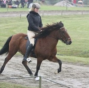 2480752-islaender-atlas-fra-keldudal (1)