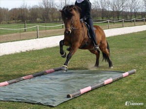 2480762-islaender-atlas-fra-keldudal (1)