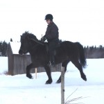 4. skvisa Skvisa tölt feb 2013