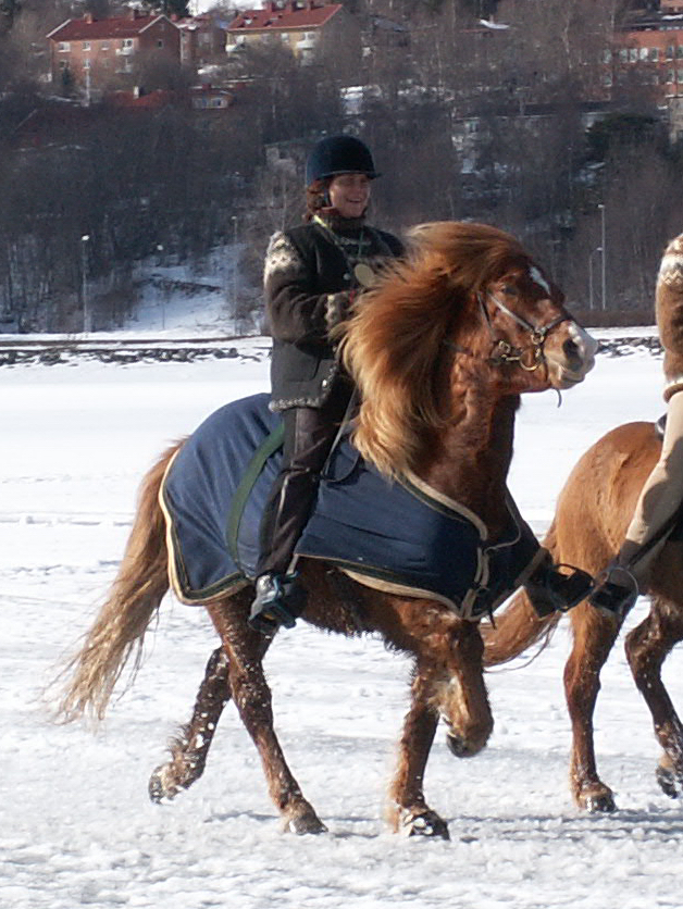 KONICA MINOLTA DIGITAL CAMERA