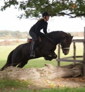 Demanturpastromsholm