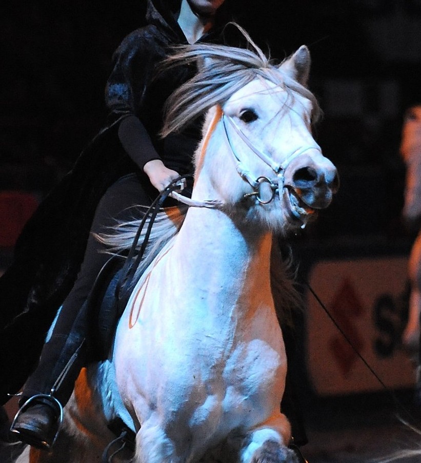 ElsaoKjarkurGloben2008