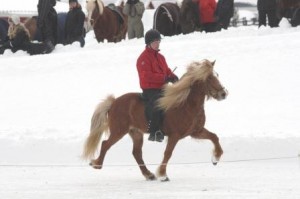 HJTGuddanoSamtid (1)