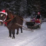 JulTvistur med slade2005