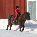 TvisturoOskarfen2011