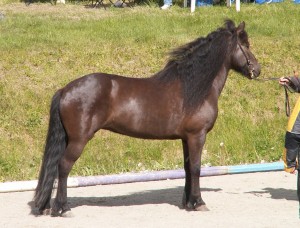 KONICA MINOLTA DIGITAL CAMERA