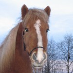 nutidportratt nutidportratt