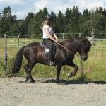 snotratravar snotratravar