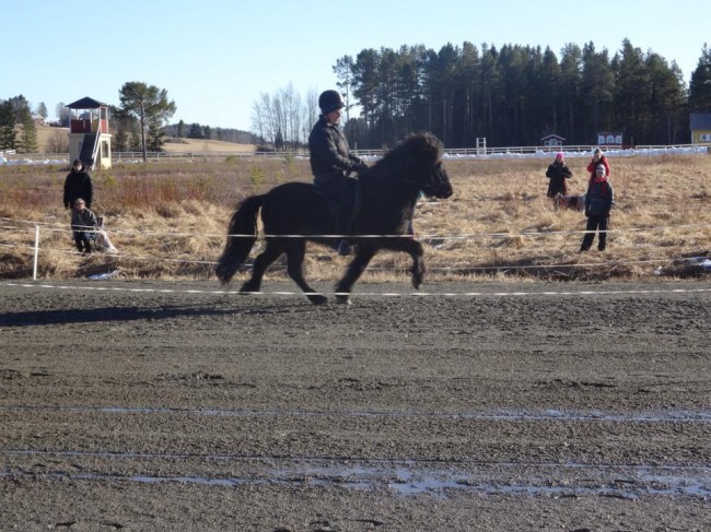 11063357_927799517251327_1760637715_n