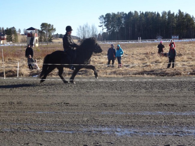 11068812_927799590584653_1996727333_n