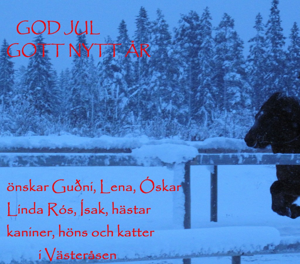 ElenaoPrakkarijulkort