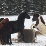 14.baltasarutmanar 14.baltasarutmanar