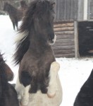 19.baltasar1 19.baltasar1