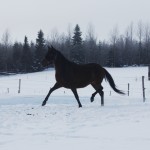 Maliatravar Maliatravar