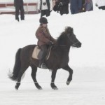 MiniorLindaRosoOrka MiniorLindaRosoOrka