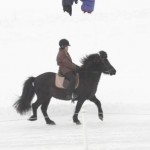 MiniorLindaRosoOrka2 MiniorLindaRosoOrka2