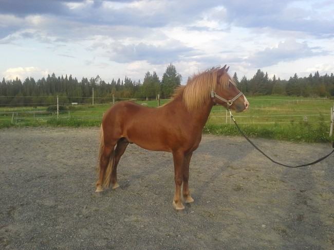 10574365_10152251272615969_4333108068963813709_n