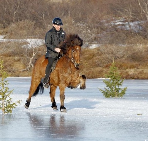 hans_kjerulf_og_jupiter