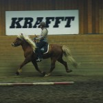 draumurpass1 draumurpass1