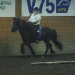 snotratolt snotratolt