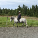 2012skritt 2012skritt