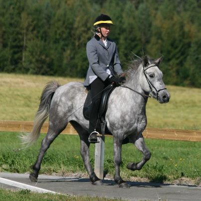 561850_10150994066837882_693013820_n