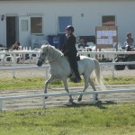 IMG_7881 Trav i uttagningen