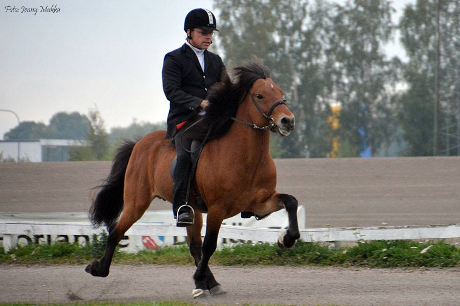 1623349_10153187450158029_1042299148464344908_n