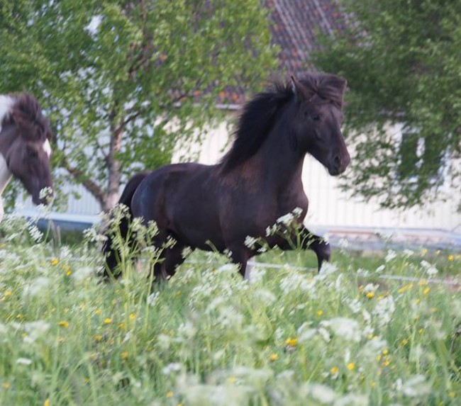 19018_447559375404484_6843255556587069971_n