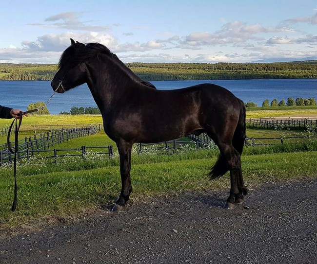 20031815_764708670356218_99914417806420737_n