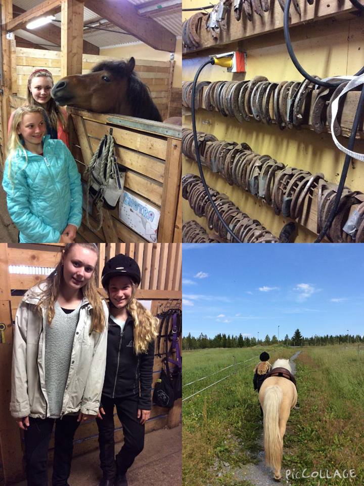 11265207_1036748306345084_2757339580093680667_n