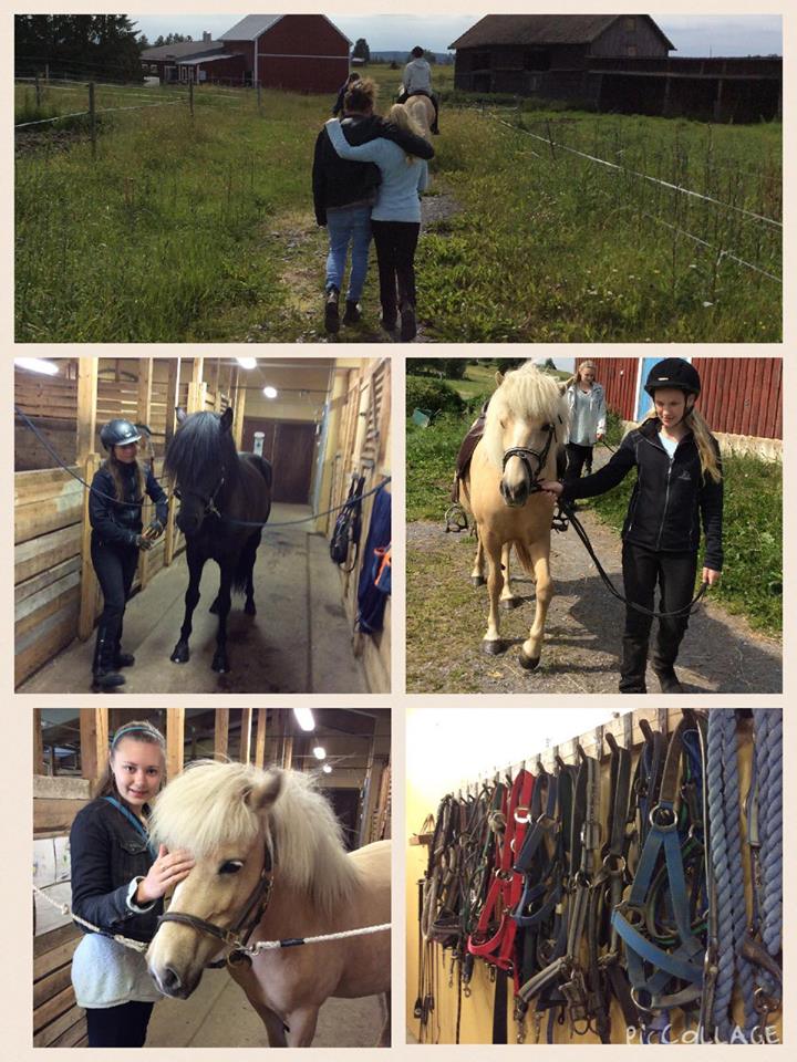 11813457_1036745059678742_8394746499533051051_n