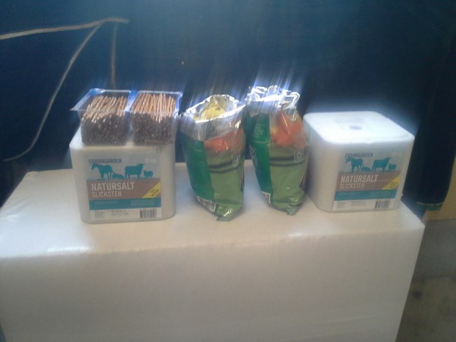 11855818_10152991096115969_4255986056323726008_n