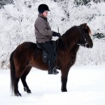 Kopia av Kopia av P2141344 Kopia av Kopia av P2141344