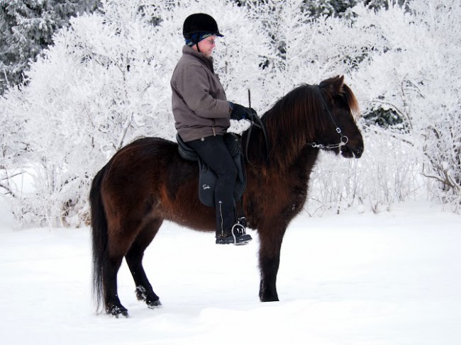 Kopia av Kopia av P2141344