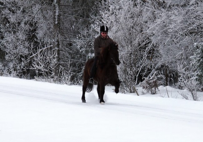 Kopia av Kopia av P2141347