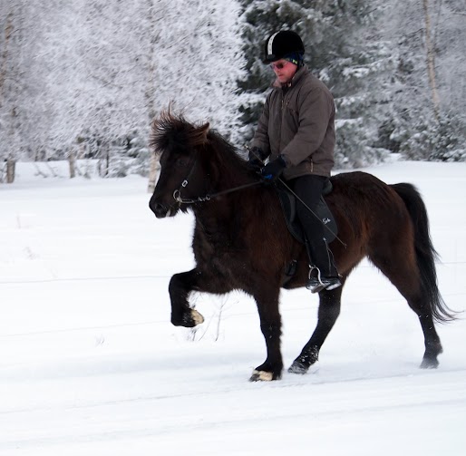 Kopia av Kopia av P2141500