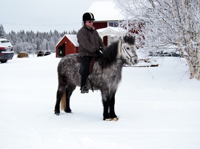 Kopia av Kopia av P2141695