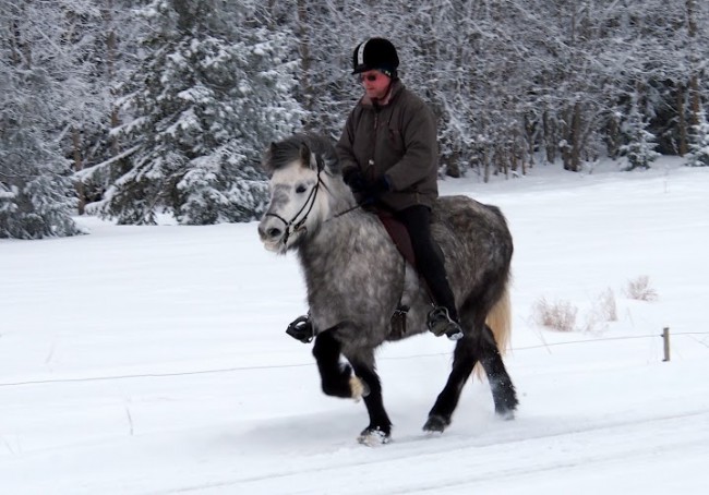 Kopia av Kopia av P2141975