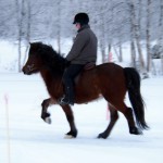 Kopia av Kopia av P2142741 Kopia av Kopia av P2142741